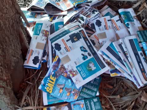 Rubbish/Recycling, a report photo