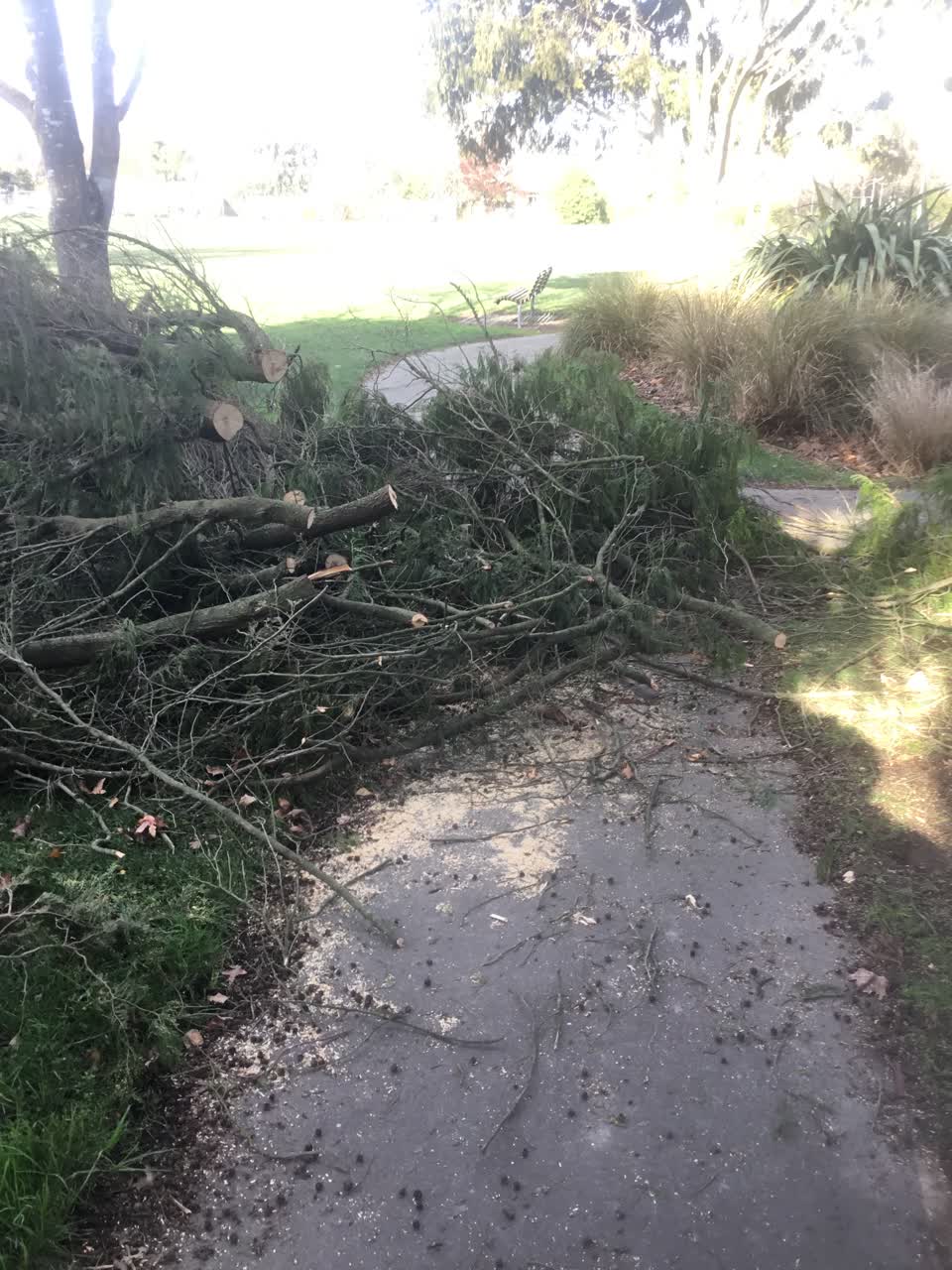 The photograph attached to this parks report