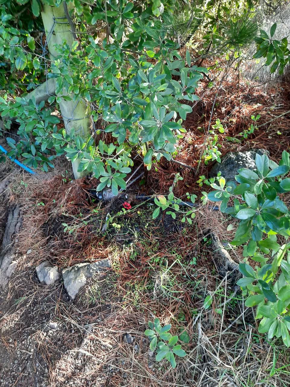 The photograph attached to this water leak report