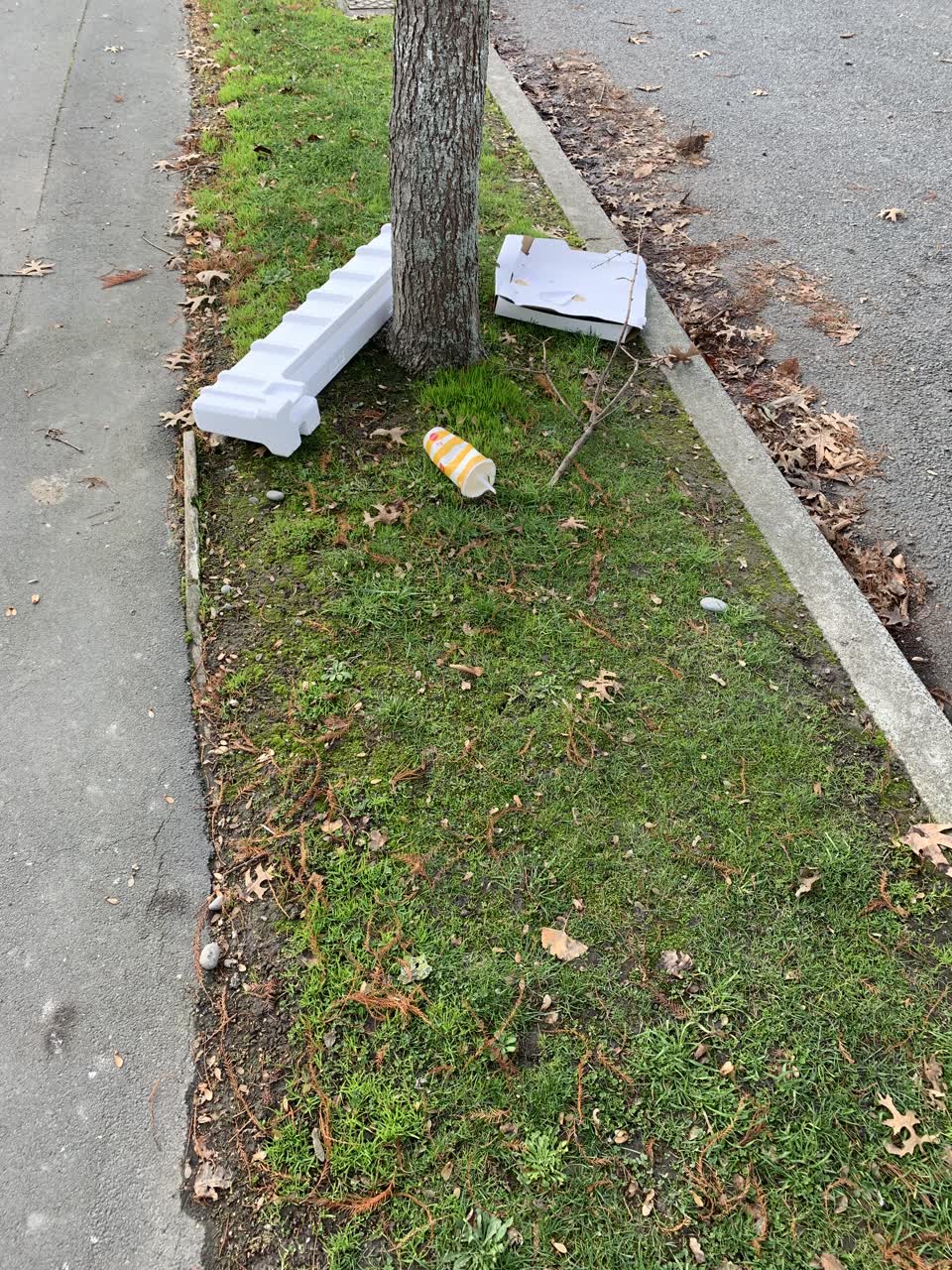The photograph attached to this rubbish/recycling report