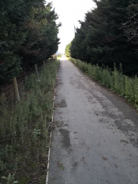 Roading/Streets, a report photo