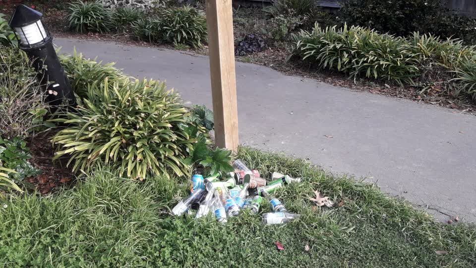 The photograph attached to this parks report