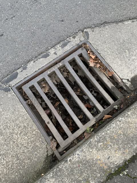 Wastewater/Stormwater, a report photo