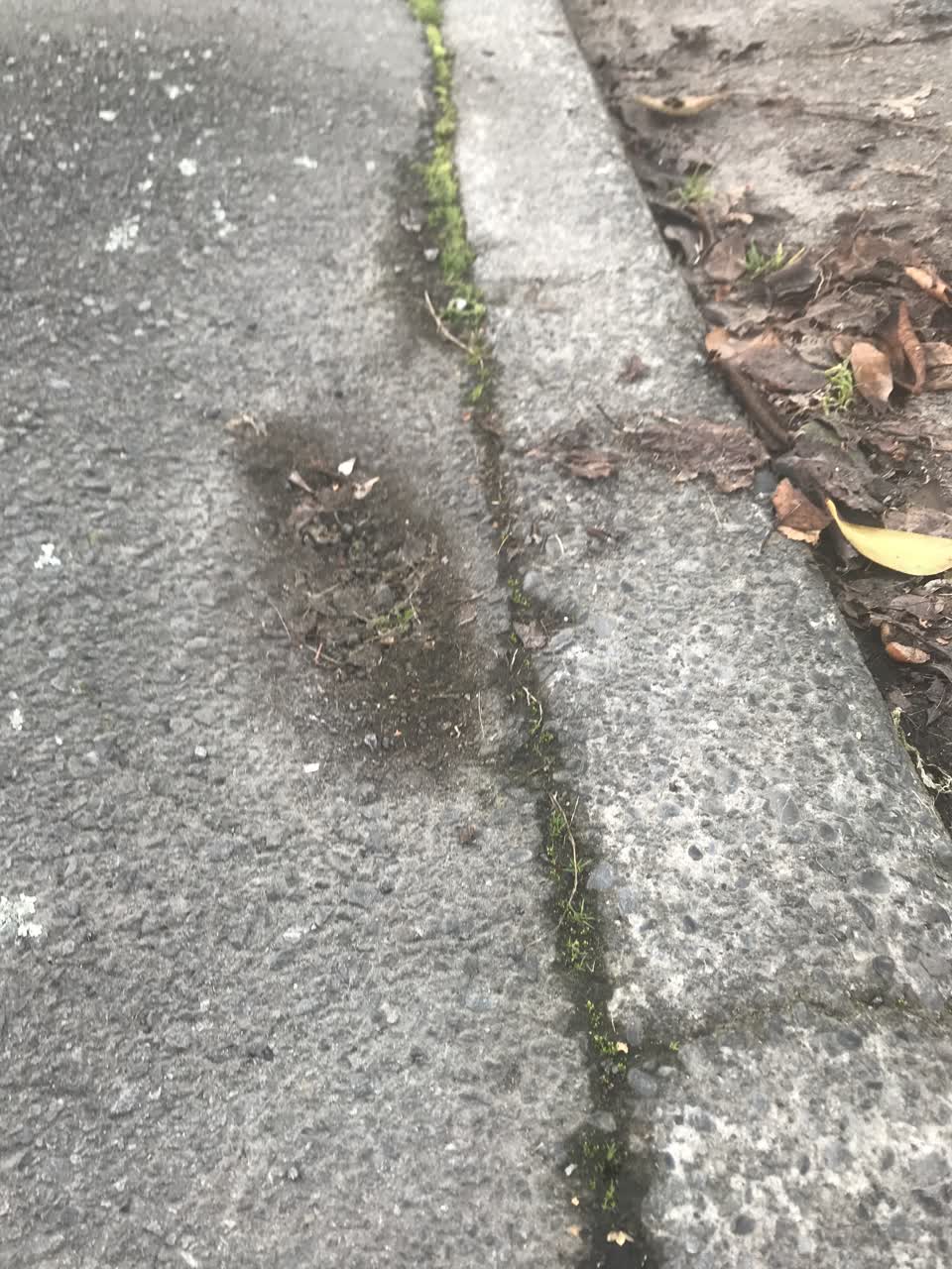 The photograph attached to this roading/streets report