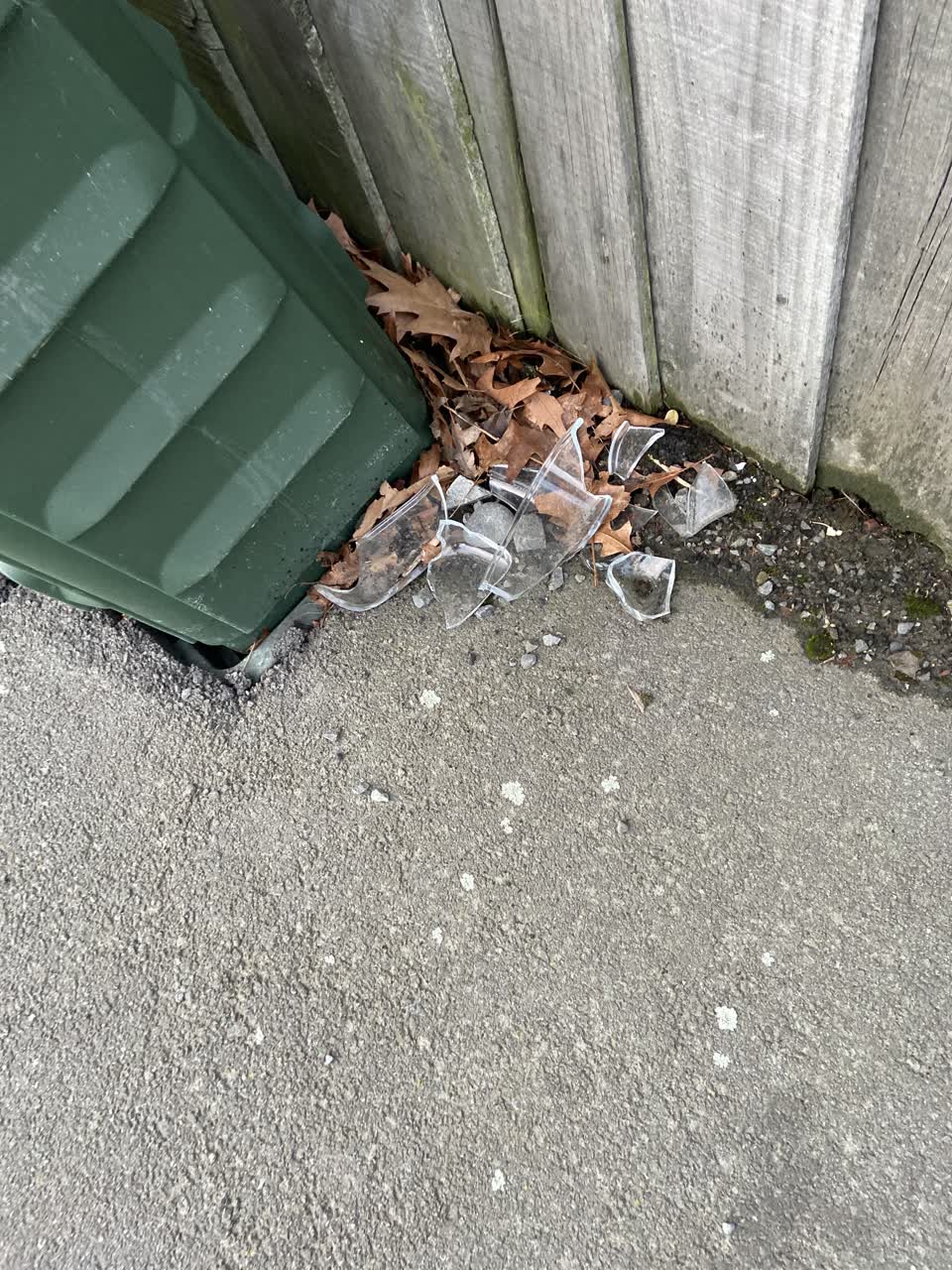The photograph attached to this rubbish/recycling report