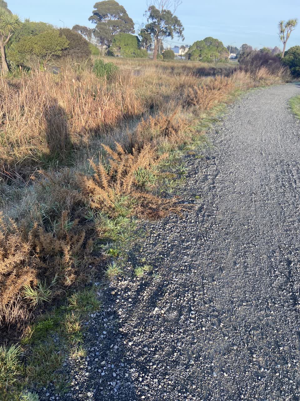The photograph attached to this parks report