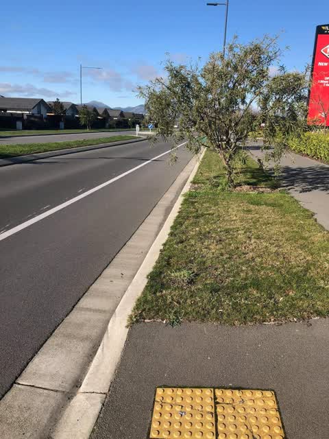 Roading/Streets, a report photo