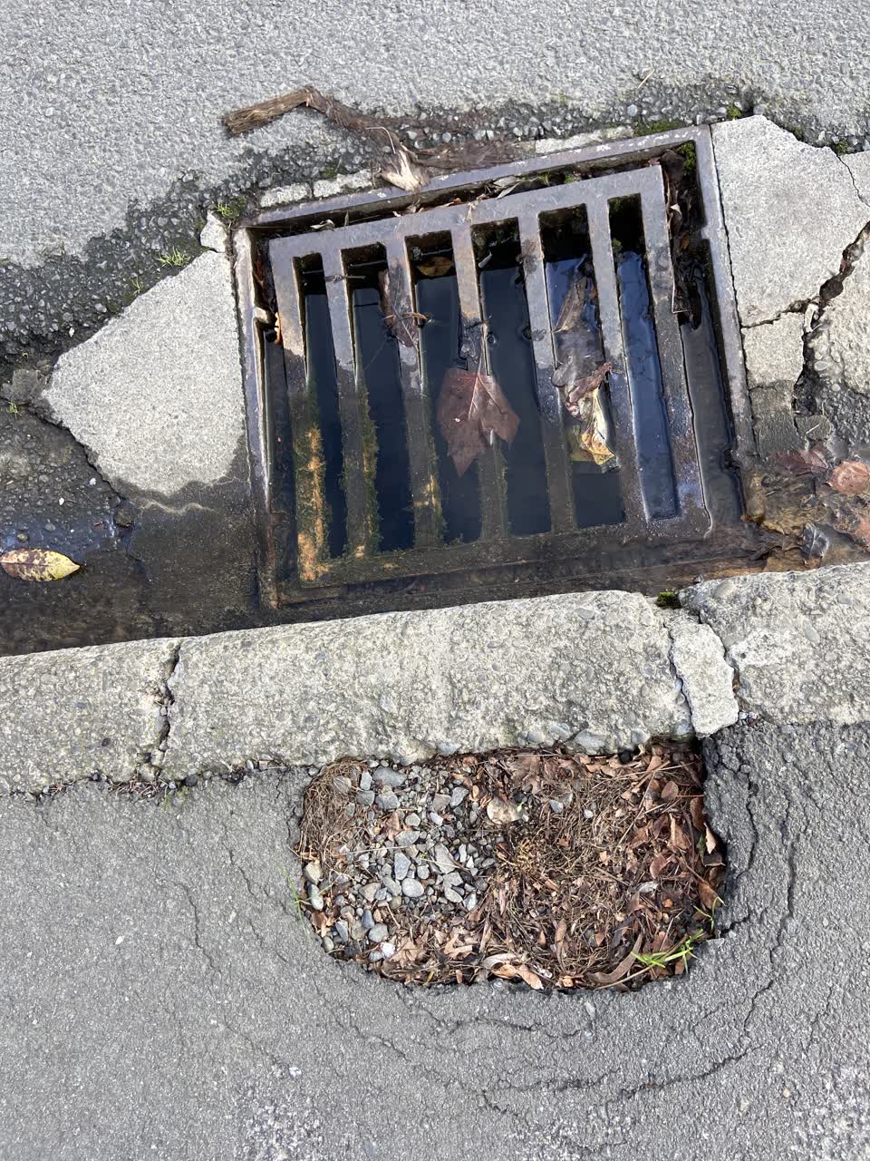 The photograph attached to this wastewater/stormwater report
