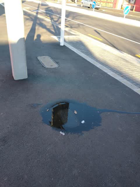 Water Leak, a report photo