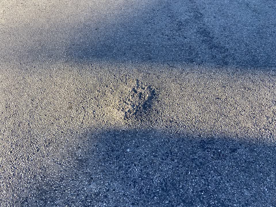 The photograph attached to this roading/streets report