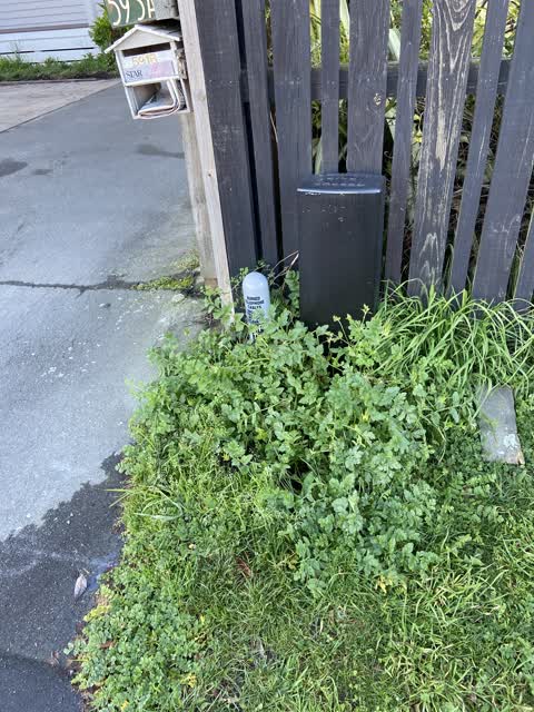 Water Leak, a report photo