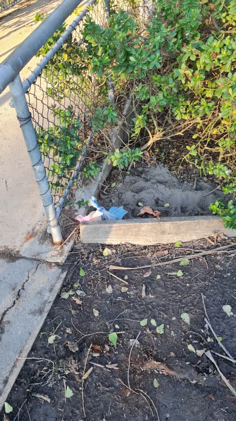 Parks — a report photo