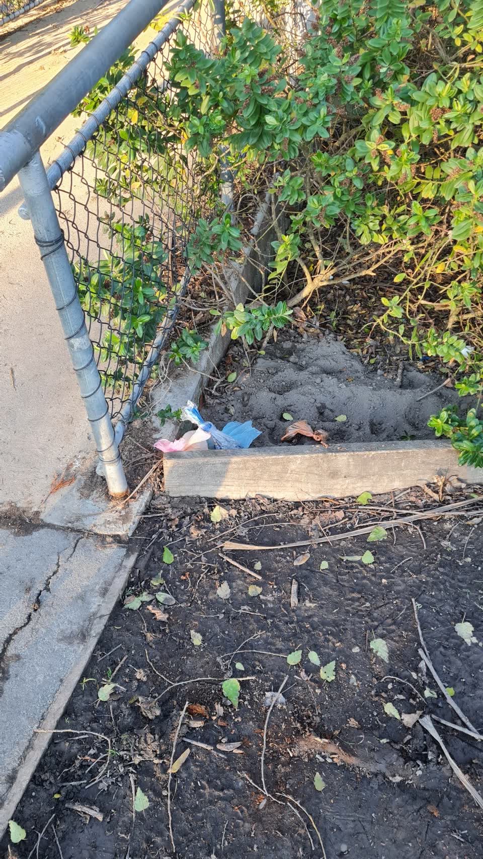 The photograph attached to this parks report