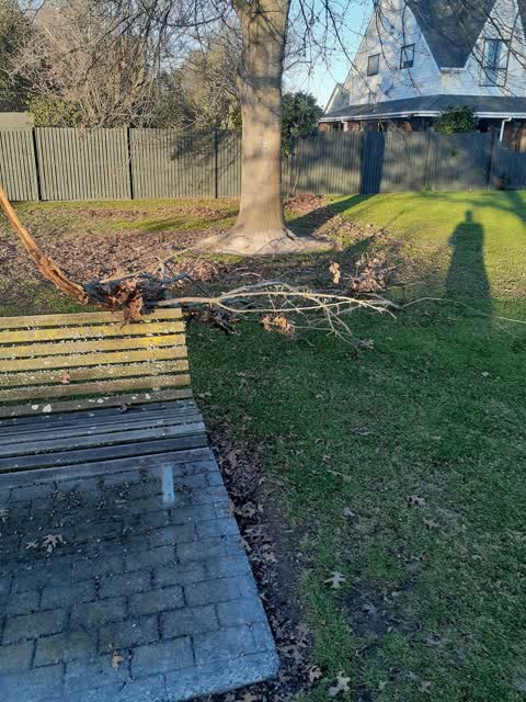 Parks — a report photo