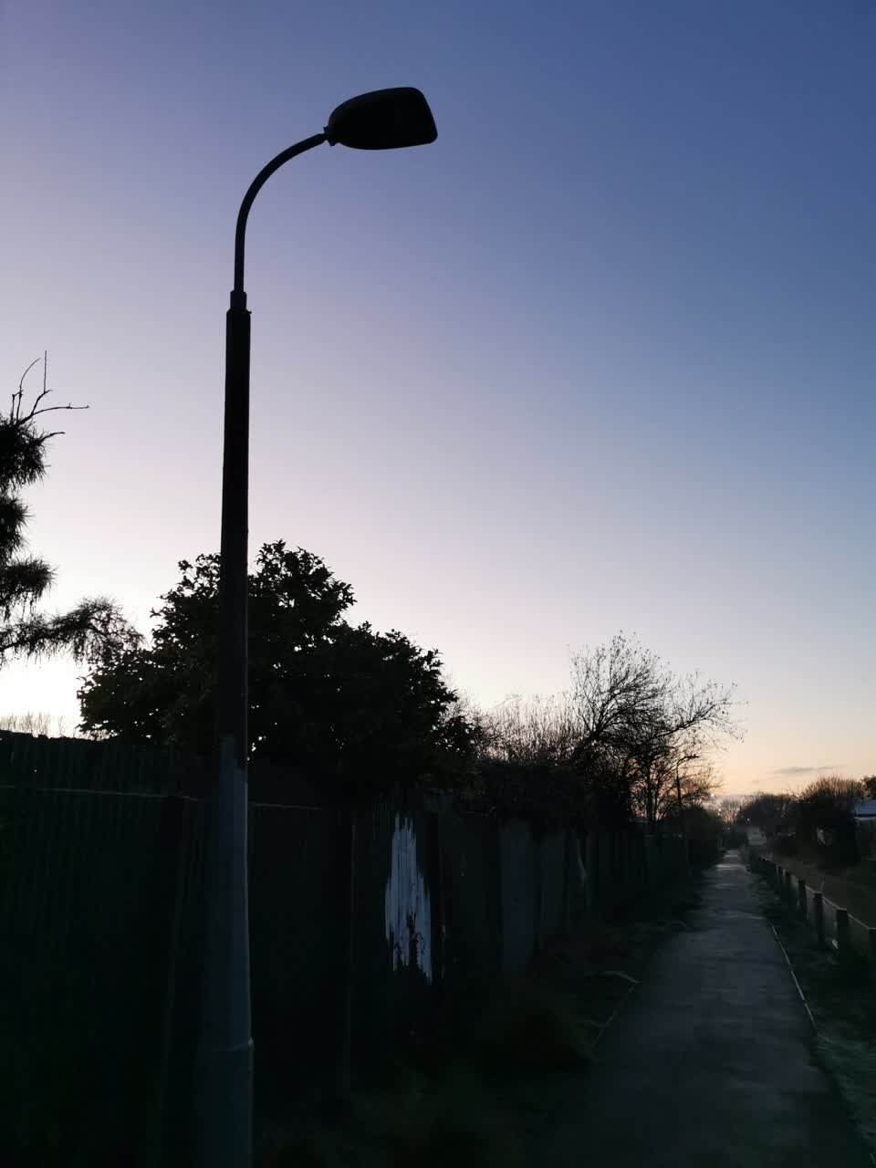 The photograph attached to this street light outage report