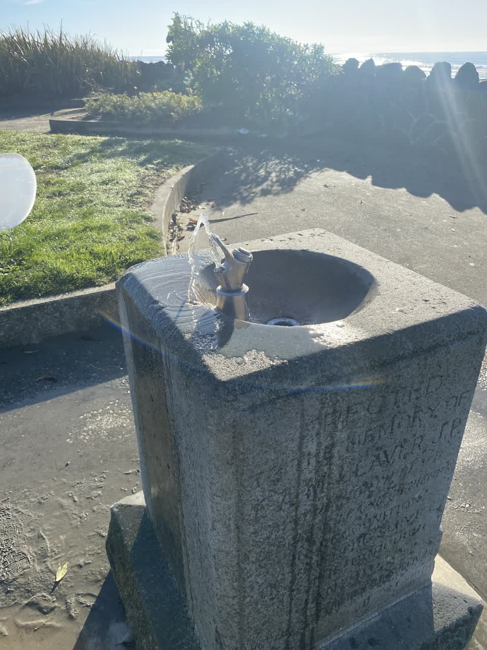 The photograph attached to this parks report