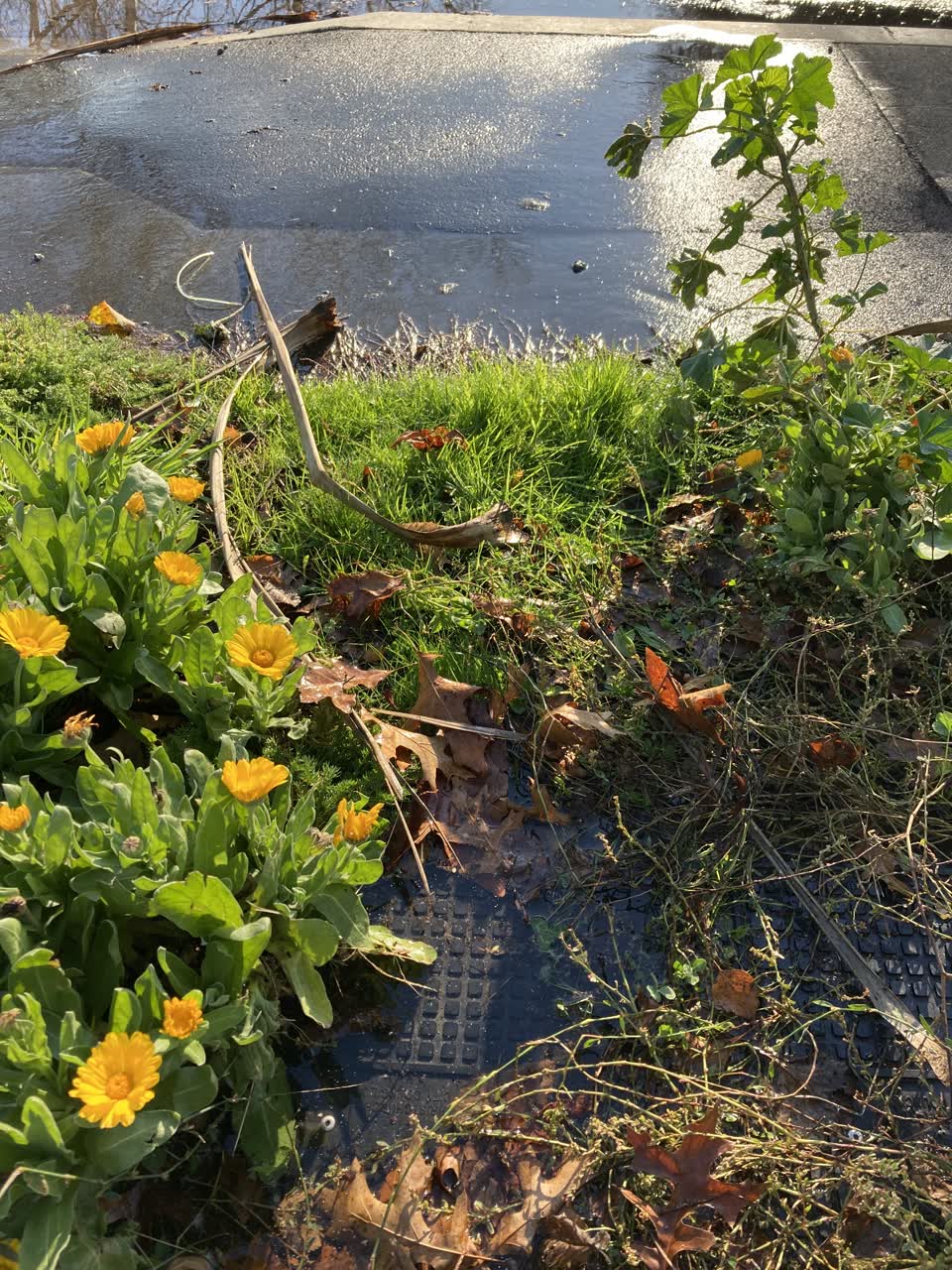 The photograph attached to this water leak report