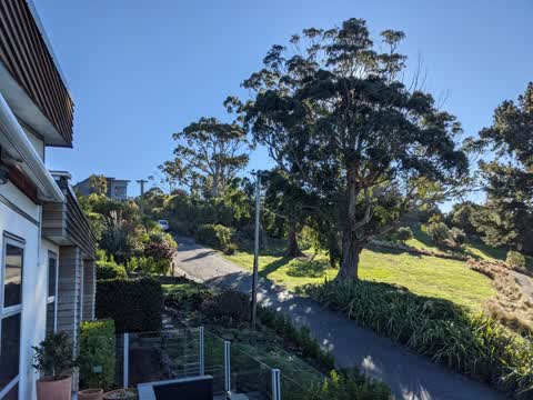 Parks, a report photo