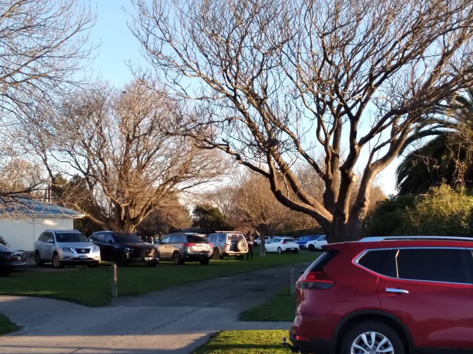 The photograph attached to this parks report