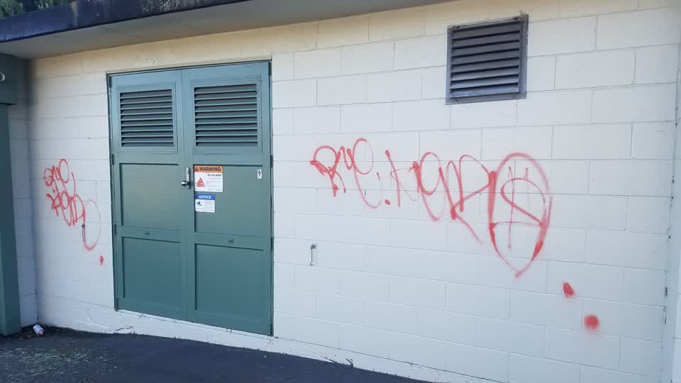The photograph attached to this graffiti report