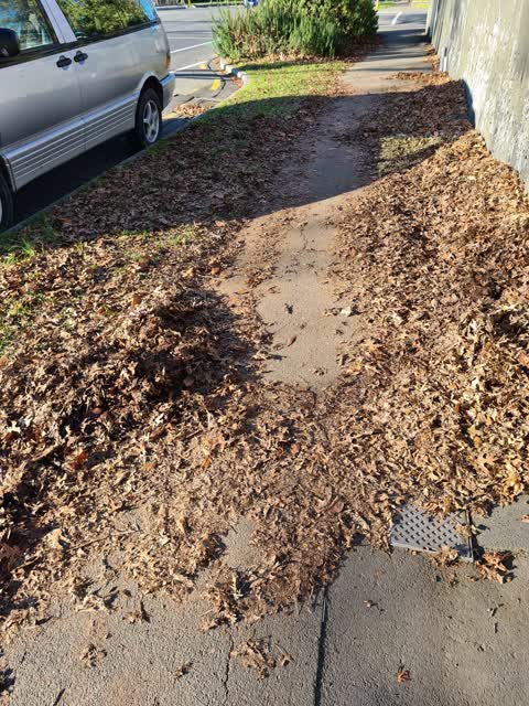 Roading/Streets — a report photo