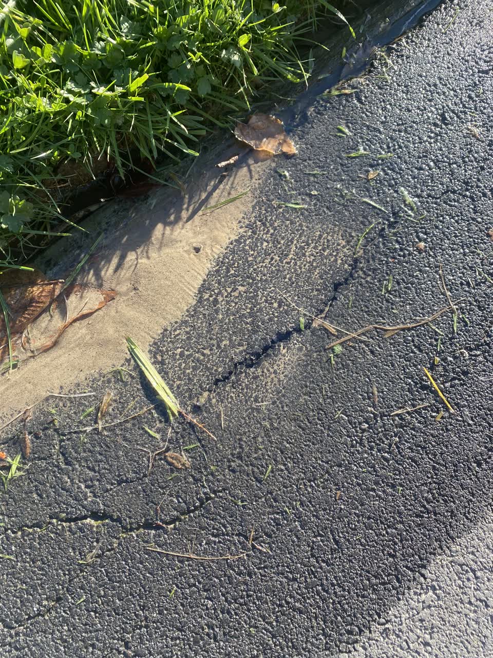 The photograph attached to this water leak report