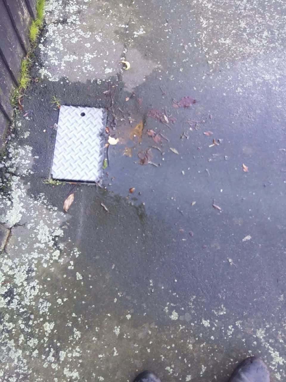 The photograph attached to this water leak report