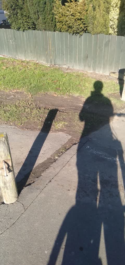 Parks, a report photo