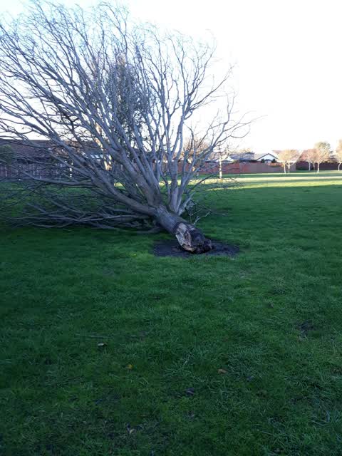 Parks, a report photo