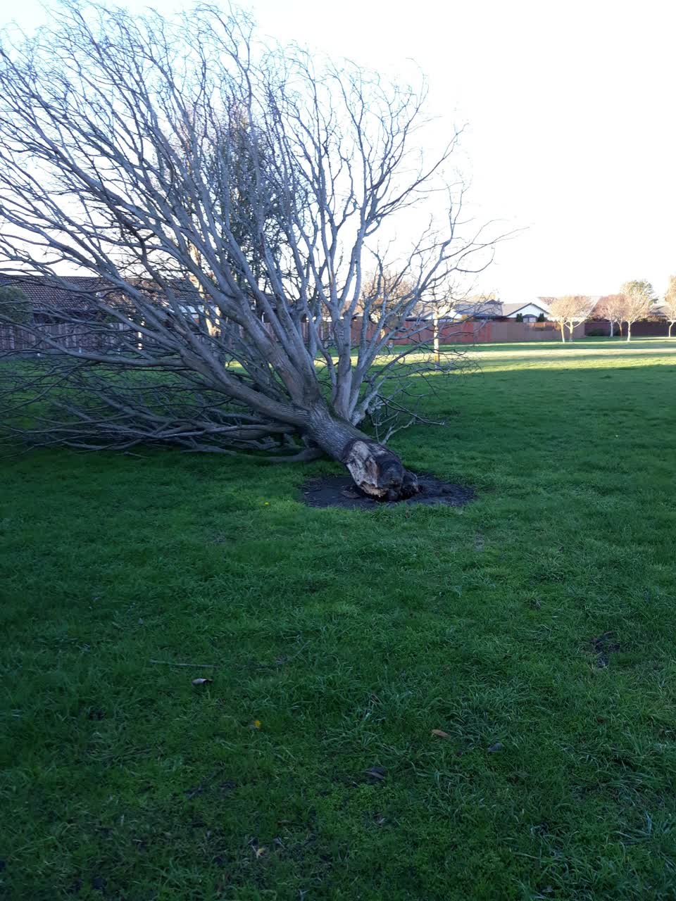 The photograph attached to this parks report