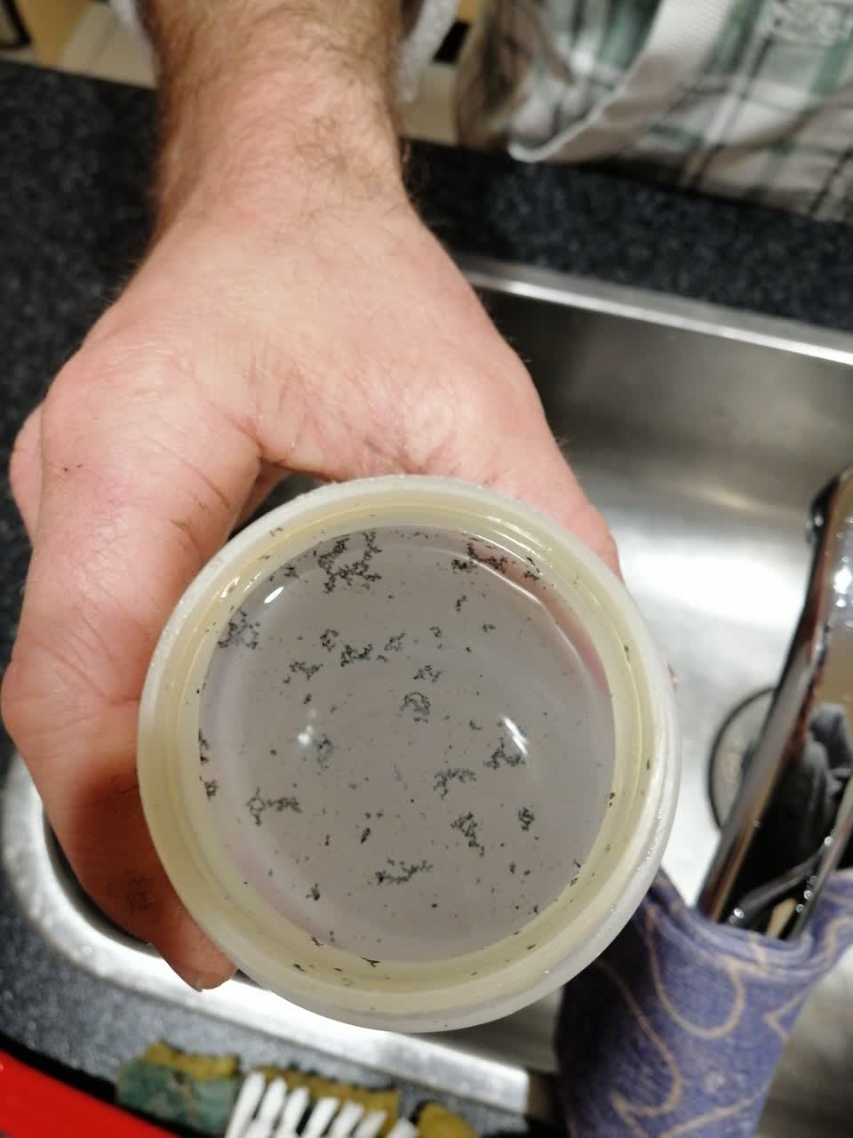 The photograph attached to this water supply report