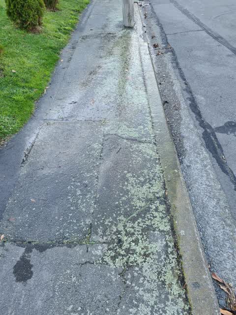 Water Leak, a report photo