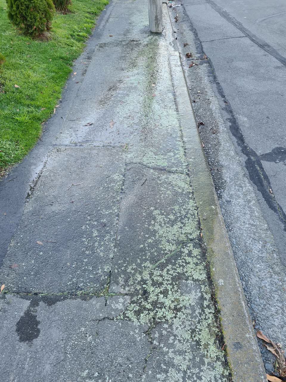 The photograph attached to this water leak report