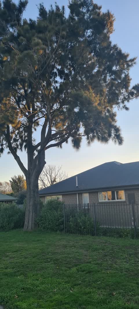 Parks, a report photo
