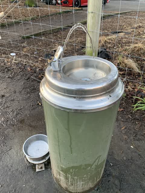Water Supply, a report photo
