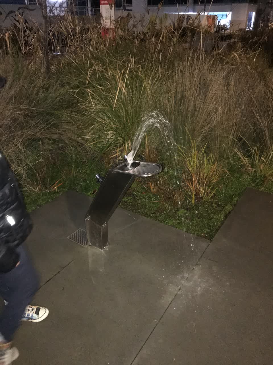 The photograph attached to this parks report