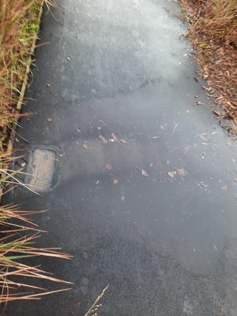 Water Leak, a report photo