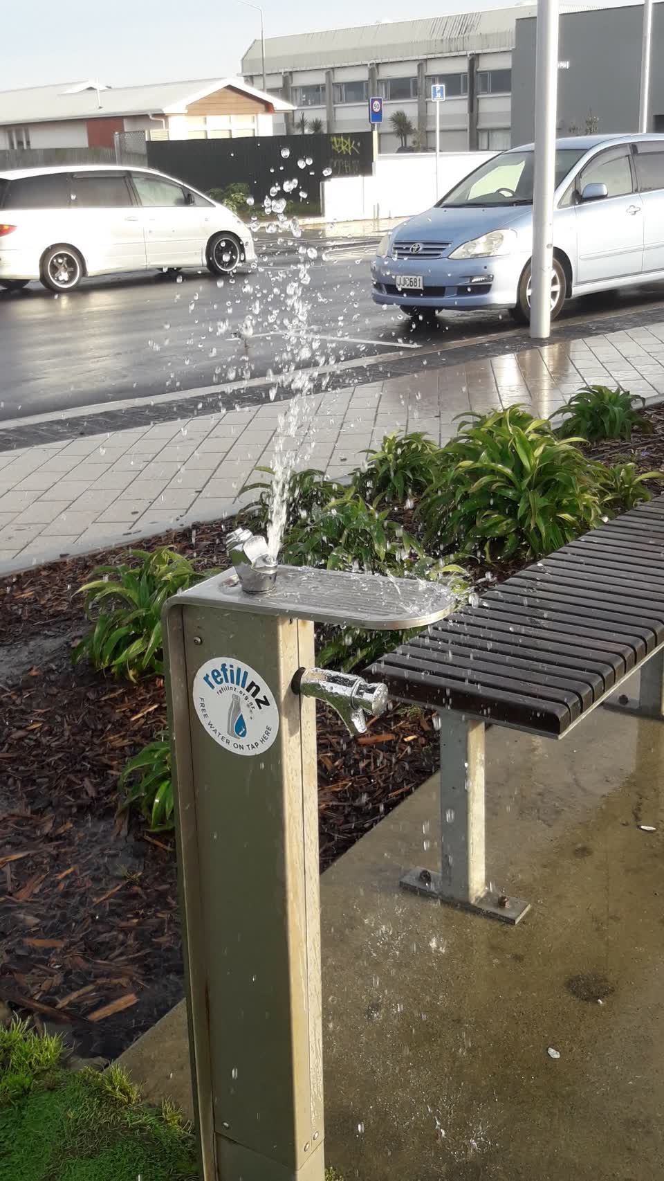 The photograph attached to this parks report