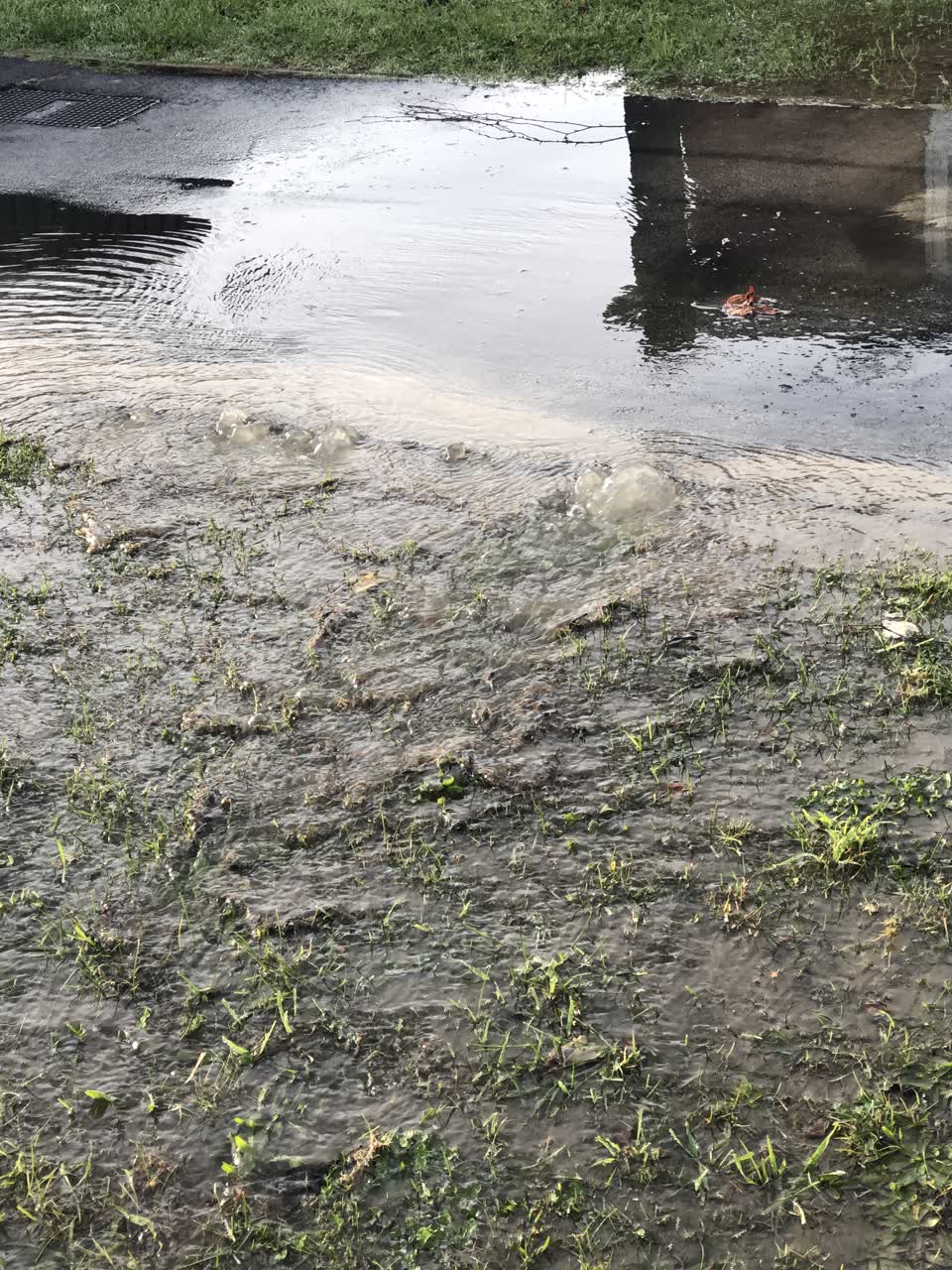 The photograph attached to this water leak report