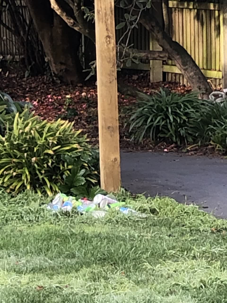 The photograph attached to this parks report