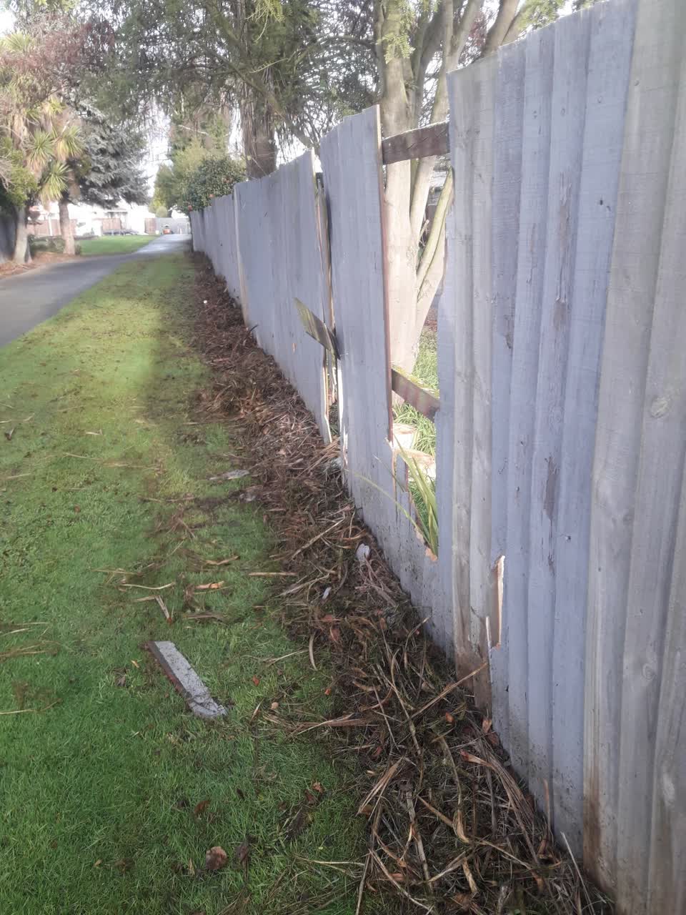 The photograph attached to this parks report