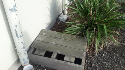 Water Leak, a report photo