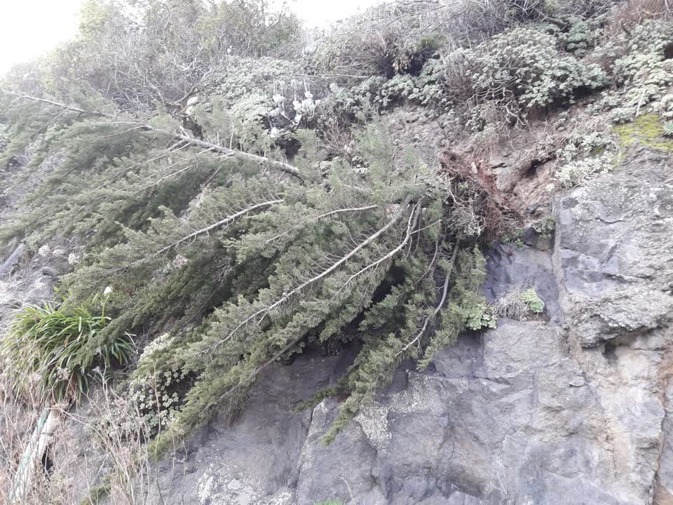 The photograph attached to this parks report