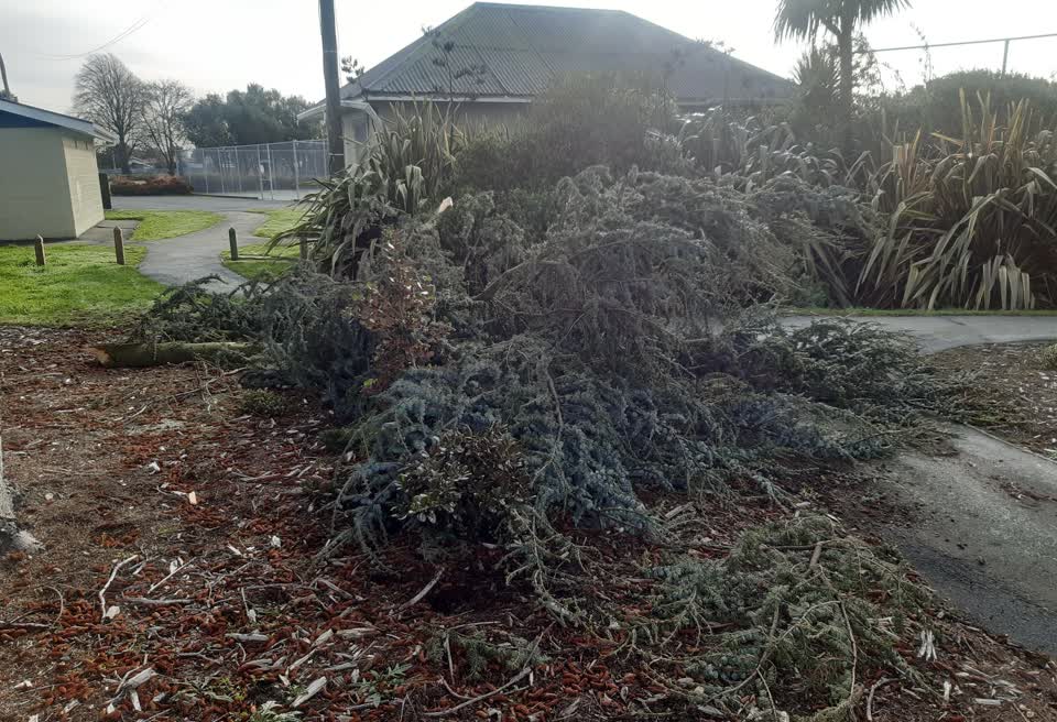 The photograph attached to this parks report