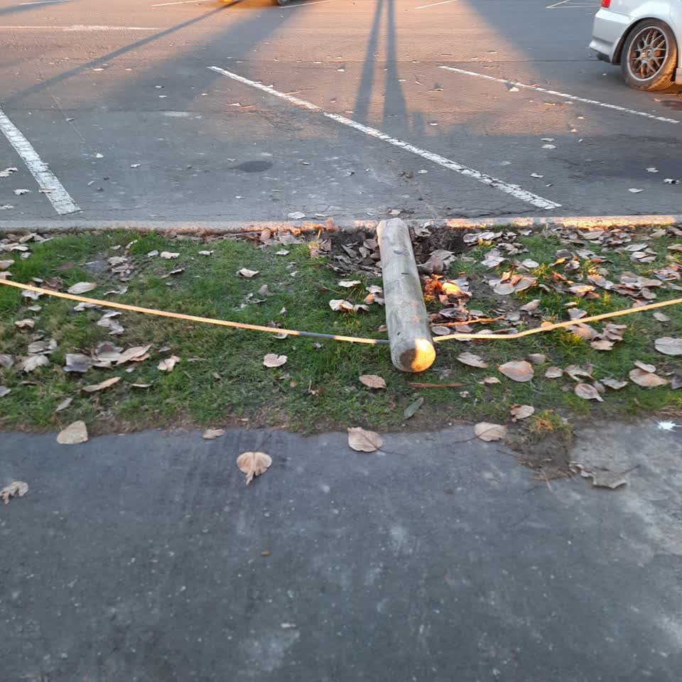The photograph attached to this parks report