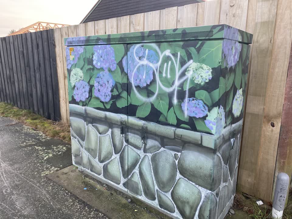 The photograph attached to this graffiti report