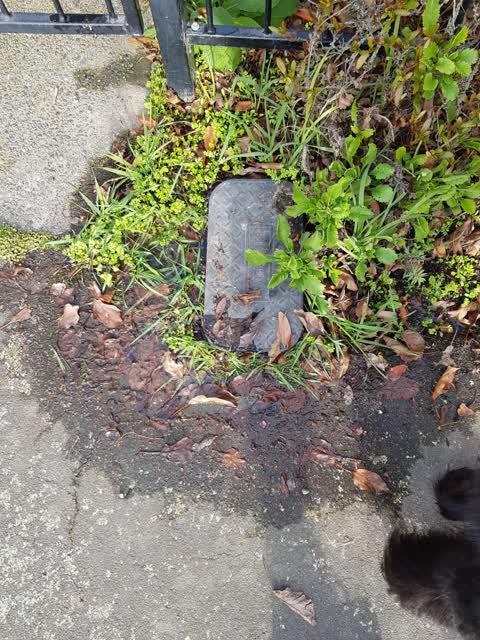 Water Leak, a report photo