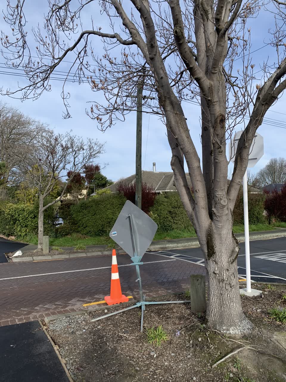 The photograph attached to this roading/streets report