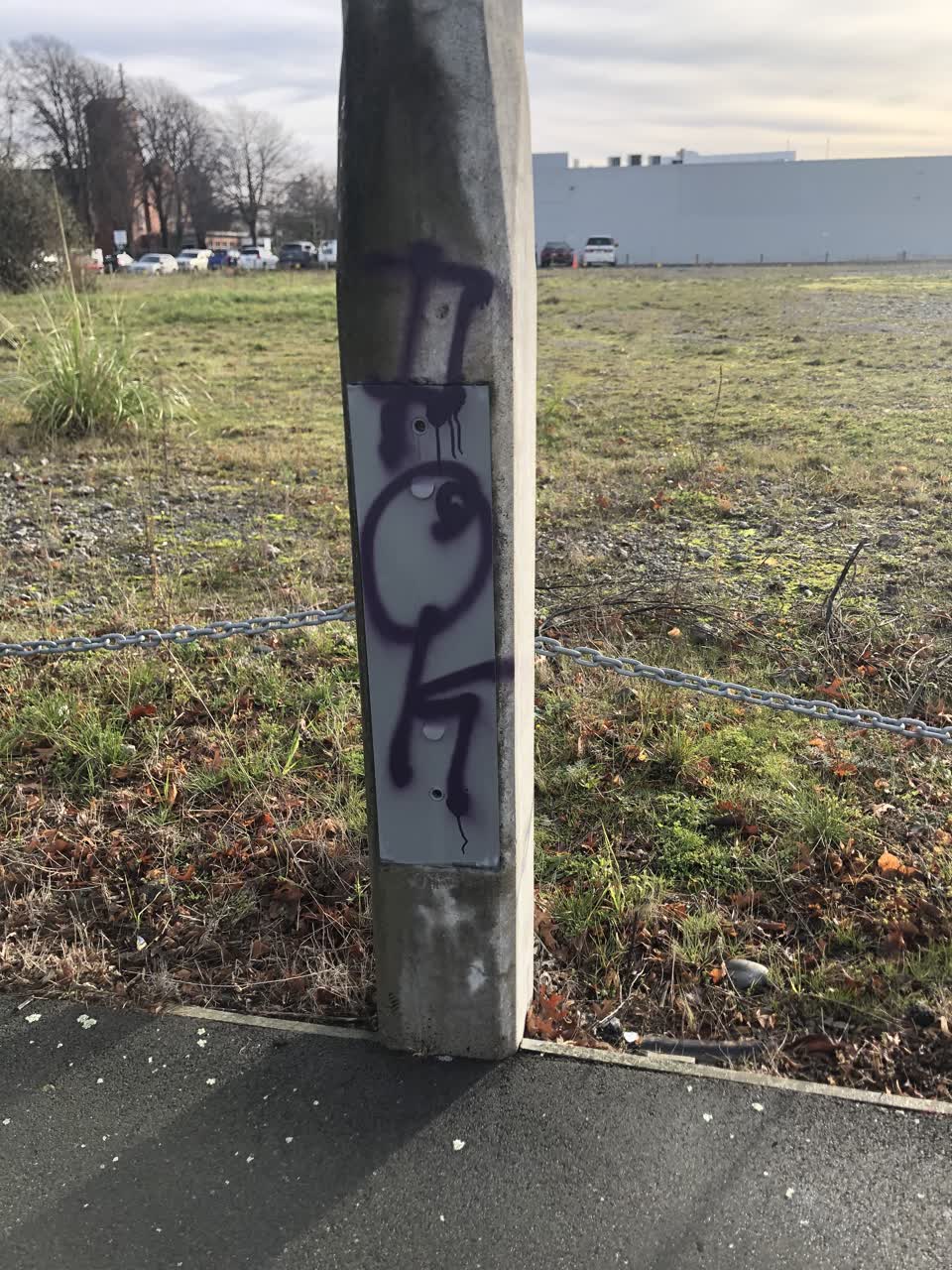 The photograph attached to this graffiti report