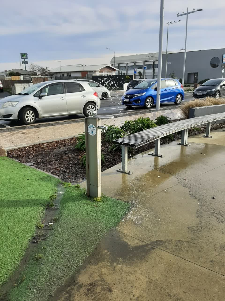 The photograph attached to this parks report
